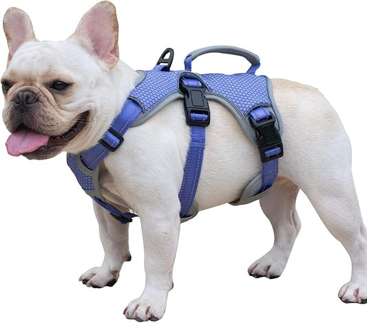 Escape Proof Dog Harness, Escape Artist Harness, Reflective Dog Harness with Handle, Durable,Adjustable Vest for Small Medium Large Dogs Walking, Training, and Running Gear(Technicolor Blue,L)