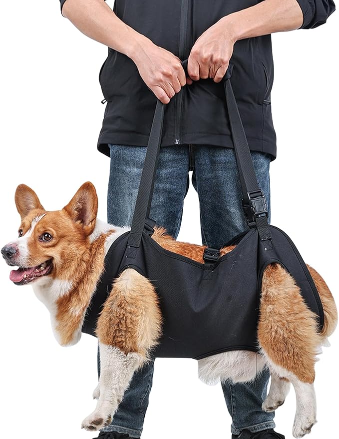 BIGNADO Dog Lift Harness Adjustable Full Body Support Dog Sling Breathable Straps for Assisted Mobility Dog Legs Hip Rehabilitation Lifts for Elderly Disabled Leg Injuries Dogs-M