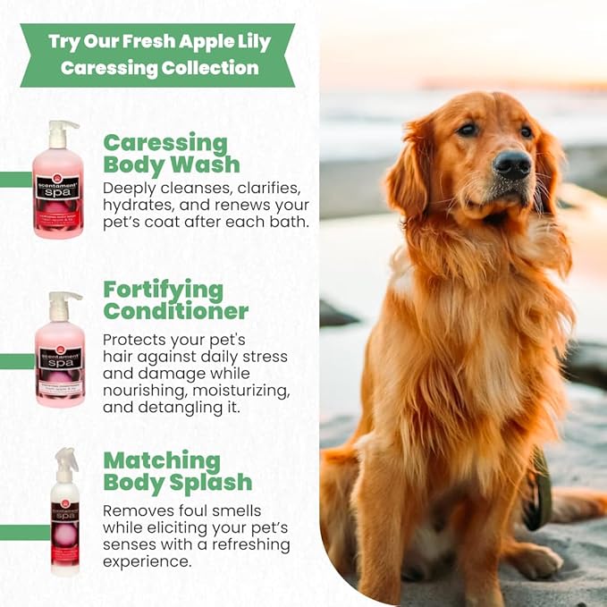 Best Shot Scentament Spa Caressing Body Wash, Fresh Apple Lily, 16 oz