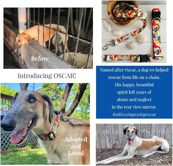 Lucky Love Dog Martingale Collar, Premium No Slip Collar, Colorful Oscar Martingale Color for Medium Dogs, Great for Medium Size Dogs (Oscar, Medium)