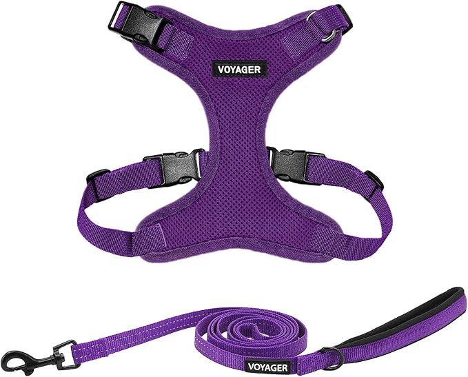 Voyager Step-in Lock Dog Harness w Reflective Dog Leash Combo Set with Neoprene Handle 5ft - Supports Small, Medium and Large Breed Puppies/Cats by Best Pet Supplies - Purple, S