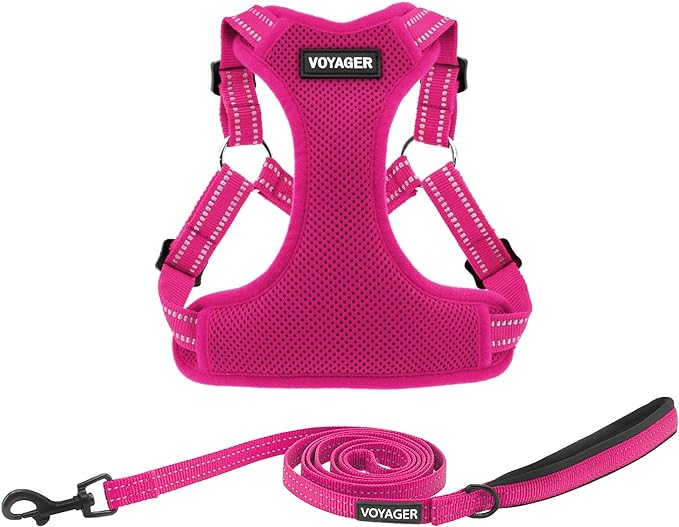 Best Pet Supplies Voyager Adjustable Dog Harness Leash Set with Reflective Stripes for Walking Heavy-Duty Full Body No Pull Vest with Leash D-Ring, Breathable All-Weather - Harness (Fuchsia), XL