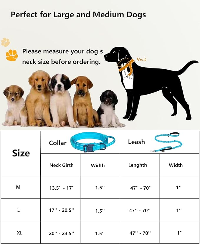 AUBELL Tactical Dog Collar and Leash Set, Adjustable Military Nylon Reflective Dog Leash and Collar with Handle and Heavy Metal Buckle for Medium Large Dogs, with Airtag Holder and 2 Patches(Blue, L)