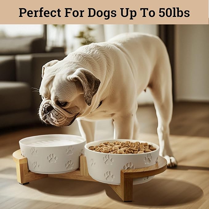 Ceramic Dog Bowls with Stand - Medium Dog Bowl Set with Stand Non-Slip - 2 Ceramic Dishes with Anti-Skid Bamboo Stand for Medium Dogs - Elevated Dog Bowls Set of 2 - Raised Pet Feeding Station