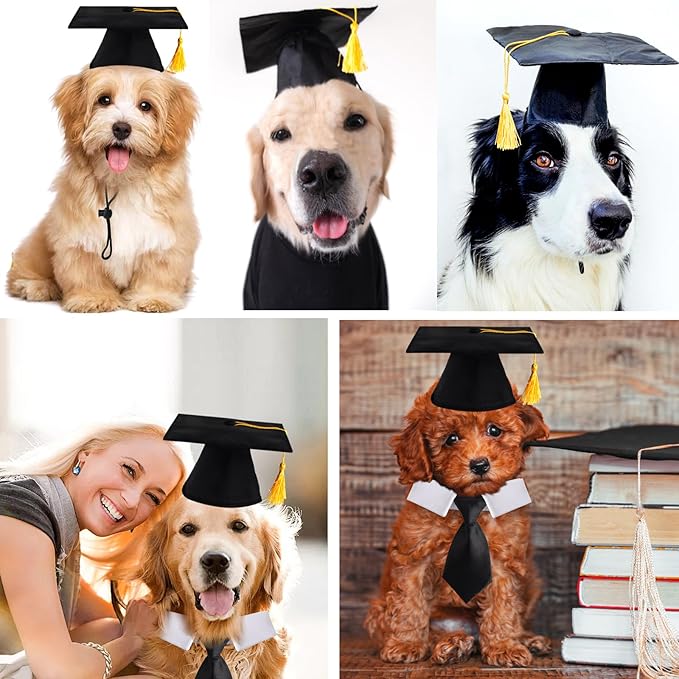FOIMAS Dog Graduation Hats,Pet Graduation Caps Adjustable with Yellow Tassel and Necktie Collar for Dog Cat Graduation Hats Costume Accessory