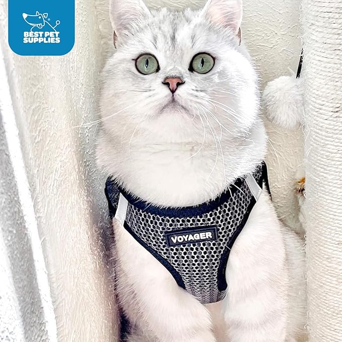 Voyager Step-in Air Dog Harness - All Weather Mesh, Reflective, No Pull Harness for Small, Medium Dogs, Cats - Secure with Hook & Loop Fastener, Buckle, Double D-Rings - Gray 2-Tone, XL