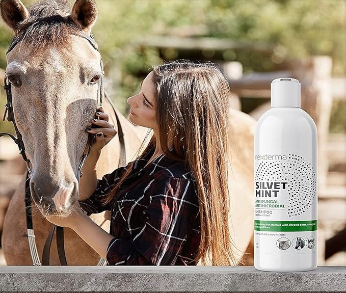 Natural Colloidal Medicated Pet Shampoo for Dogs and Cats - Tearless Hypoallergenic, Soap Free with Coconut Oil and Mint, Relief for Allergies, Odor, Itchy, Dry, Irritated Skin - 16oz, 1Pack