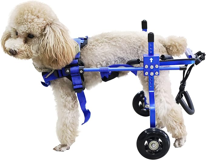 Adjustable Dog Wheelchair for Back Legs，Pet/Doggie Doggy Wheelchairs with Disabled Hind Legs Walking (XS-Blue)