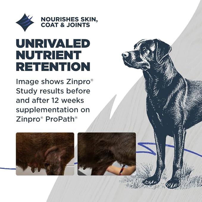 Blackwood Grain Free Dry Dog Food, Chicken & Field Pea Recipe, 24 Pound Bag for All Life Stages, Slow Cooked with Vitamins & Minerals for a Balanced Diet