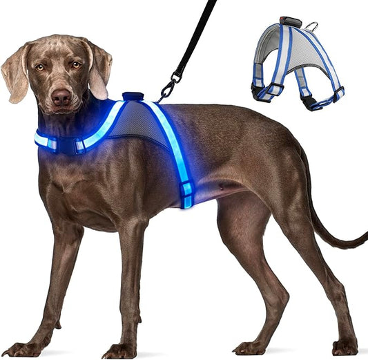 Visinite LED Dog Harness, USB Rechargeable Light Up Dog Harness Vest, 2 Illuminate Modes Glow in The Dark Dog Harness, Adjustable Lighted Dog Harness Light for Night Walking Safety (Blue, Small)