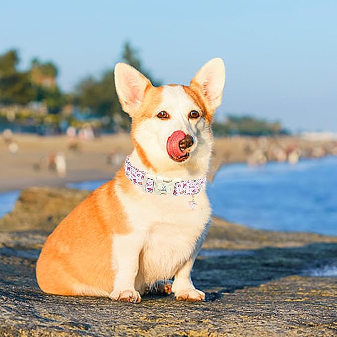 Lionheart glory Dog Collar Shark Pattern Dog Collar Pink Dog Collars Male or Female Spring Summer Cute Collar Pet Gift Durable Adjustable Dog Collar for Large Dogs