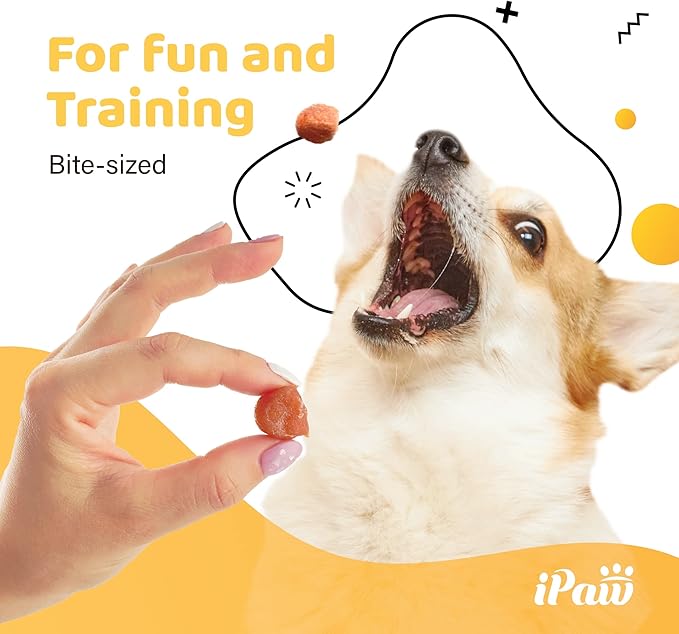 Dog Treats for Puppy Training, All Natural Human Grade Dog Treat, Hypoallergenic, Easy to Digest (Chicken Tots), 3 Packs