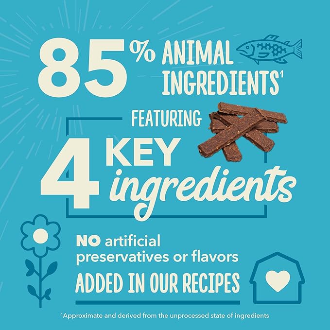 Chewy Strips Dog Treats, Salmon, High Protein Dog Treats, 4oz