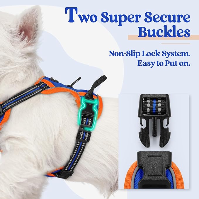 rabbitgoo Dog Harness, No-Pull Pet Harness with 2 Leash Clips, Adjustable Soft Padded Dog Vest, Reflective No-Choke Pet Oxford Vest with Easy Control Handle for Large Dogs, Blue & Orange, XS