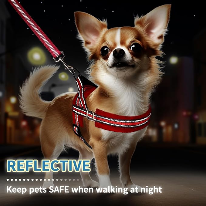 SlowTon No Pull Small Dog Harness and Leash Set, Puppy Soft Vest Harness Neck & Chest Adjustable, Reflective Lightweight Harness & Anti-Twist Pet Lead Combo for Small Medium Dogs (Red, XS)