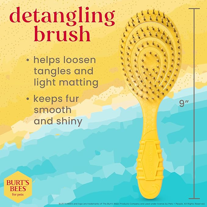 Burt’s Bees for Pets Detangling Pin Brush for Dogs with Medium to Long Hair with Handle Made from Recycled Plastics Collected from Coastal Communities | Dog Brush Removes Tangles and Loosens Matting