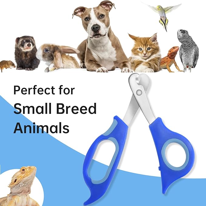 Bearded Dragon Nail Clippers,Stainless Steel Bearded Dragon Toe Nail Clippers with Precise Angled Edges (Blue)