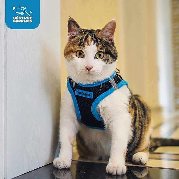 Voyager Step-In Air Dog Harness - All Weather Mesh, Reflective, No Pull Harness for Small, Medium Dogs, Cats - Secure with Hook & Loop Fastener, Buckle, Double D-Rings - Blue, XXXS