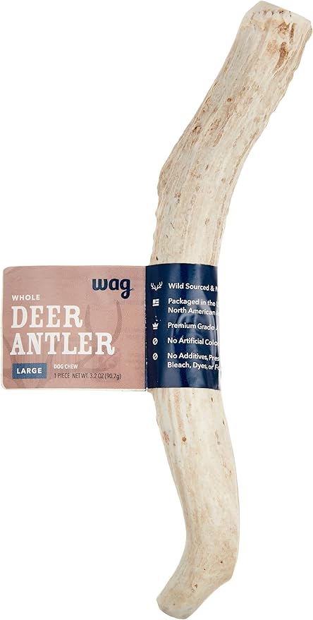 Amazon Brand - Wag Dog Deer Antler Chew, Naturally Shed, Whole, Large 8-9.5 inches (Best for Dogs 30-45 lbs), 3.20 Ounce (Pack of 1)