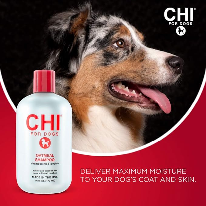 CHI For Dogs Oatmeal Shampoo for Dogs, 16 oz Best Oatmeal Dog Shampoo for Dogs with Dry Skin Sulfate & Paraben Free, pH Balanced for Dogs, Made In the USA