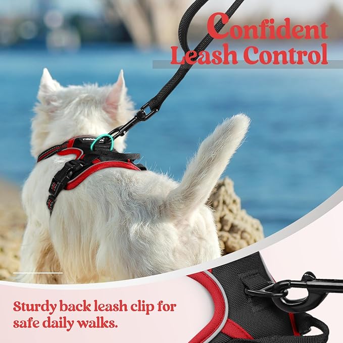 rabbitgoo Dog Harness, No-Pull Pet Harness with 2 Leash Clips, Adjustable Soft Padded Dog Vest, Reflective No-Choke Pet Oxford Vest with Easy Control Handle for Large Dogs, Black & Red, X-Small