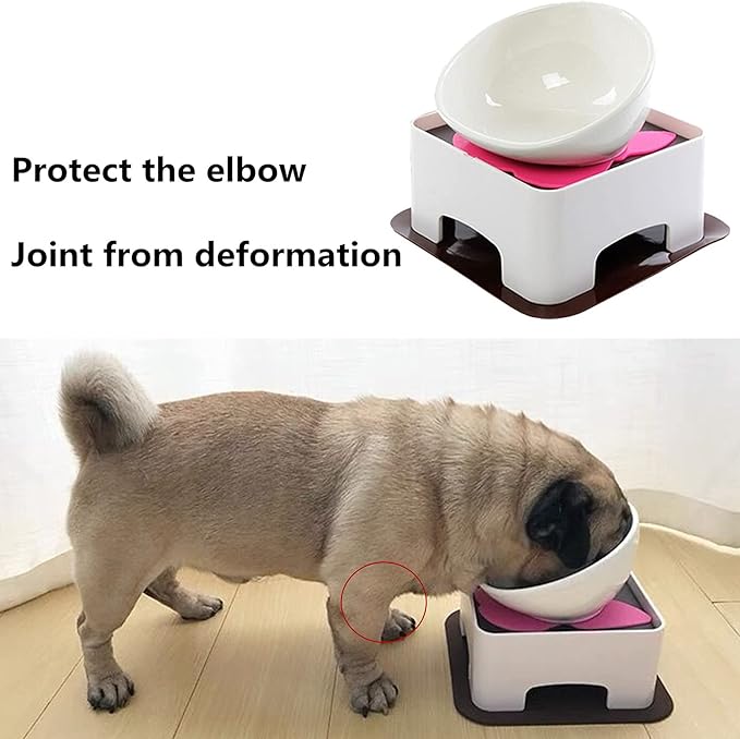 Bulldog Bowl Anti-Slip Dog Cat Dish Detachable Rubber Dog Bowl Pet Sterile Tilted Pet Feeder Slope Base (White（Ceramic Bowl）, 1.5 Cup (Small/Medium Dog))