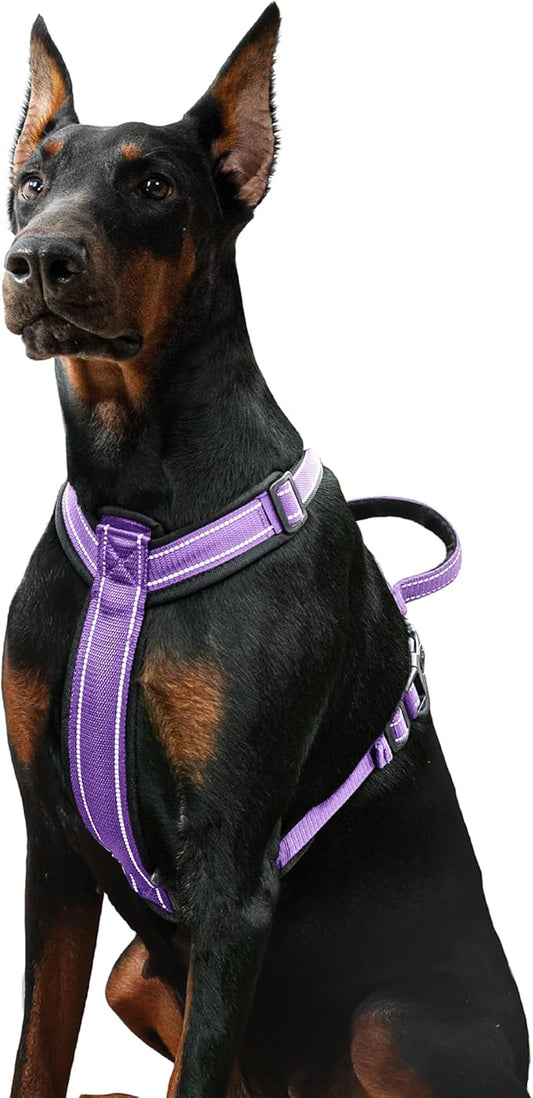 Patas Lague No Pull Dog Harness for Small Medium Dogs, Soft Adjustable Step in No Choke Dog Harness and Leash Set, Reflective Solid Dog Vest Harness with Buckle Lock, Purple L