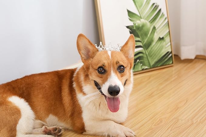 Lovelyshop Pet Series Silver Plated Royal Rhinestone Pearl Full Round Dog/Cat Crown for Rolyal Family Costume Hair Accessories-Medium Size