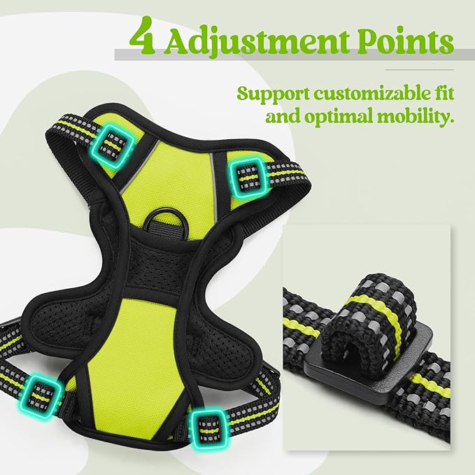rabbitgoo Dog Harness, No-Pull Pet Harness with 2 Leash Clips, Adjustable Soft Padded Dog Vest, Reflective No-Choke Pet Oxford Vest with Easy Control Handle for Small Dogs, Wild Lime, XS