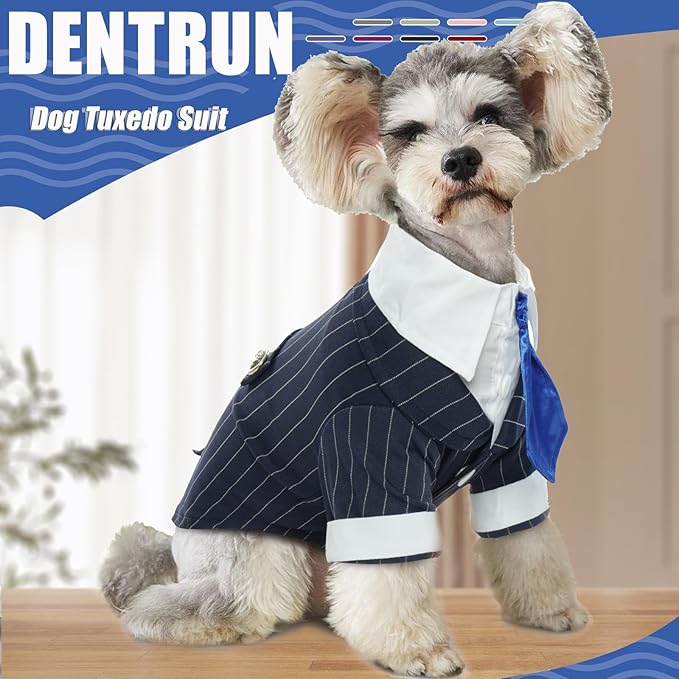 DENTRUN Navy Blue Dog Tuxedo - Formal Pinstripe Pet Suit Shirt with Satin Tie, Elegant Wedding Outfit Birthday Party Attire for Golden Retriever Husky Border Collie Large Dogs (Polyester), XXL
