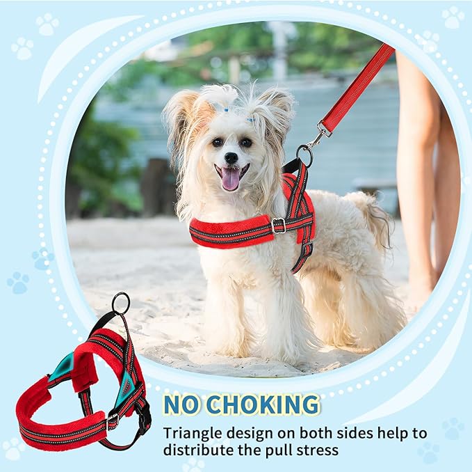 SlowTon No Pull Small Dog Harness and Leash Set, Puppy Soft Vest Harness Neck & Chest Adjustable, Reflective Lightweight Harness & Anti-Twist Pet Lead Combo for Small Medium Dogs (Red, XXS)