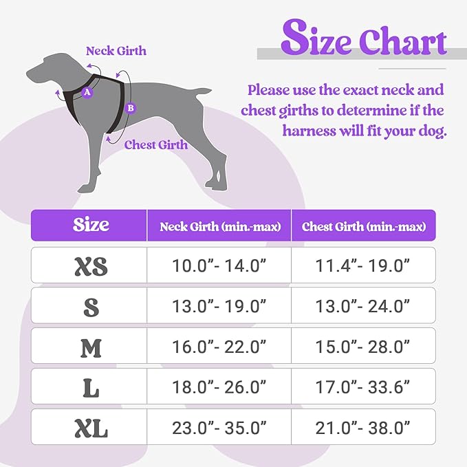 rabbitgoo Dog Harness, No-Pull Pet Harness with 2 Leash Clips, Adjustable Soft Padded Dog Vest, Reflective No-Choke Pet Oxford Vest with Easy Control Handle for Small Dogs, Purple, S