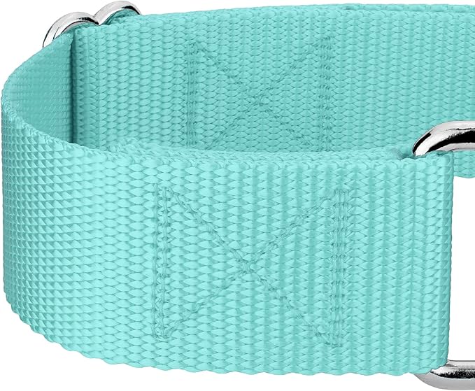Country Brook Petz 1 1/2 Inch Martingale Heavy Duty Nylon Adjustable Dog Collar for Small, Medium, Large Breeds - Vibrant 17 Color Selection (Light Cyan, Medium)