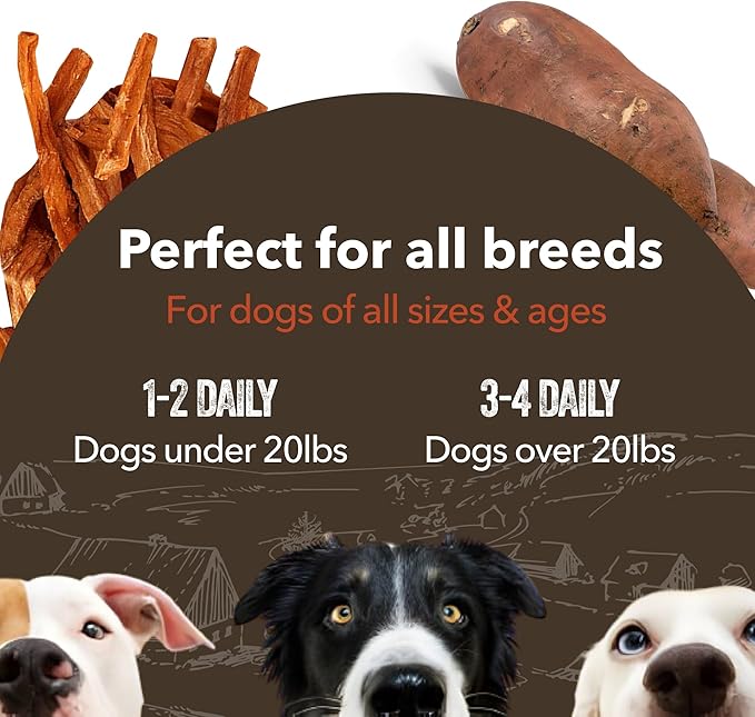 Gaines Family Farmstead Sweet Potato Dog Treats, All Natural Fries, Soft Chews for Dogs, All Ages & Breeds, Nutrient-Rich, Rawhide Alternativem, Dog Training & Rewards, 14 Oz. Bag