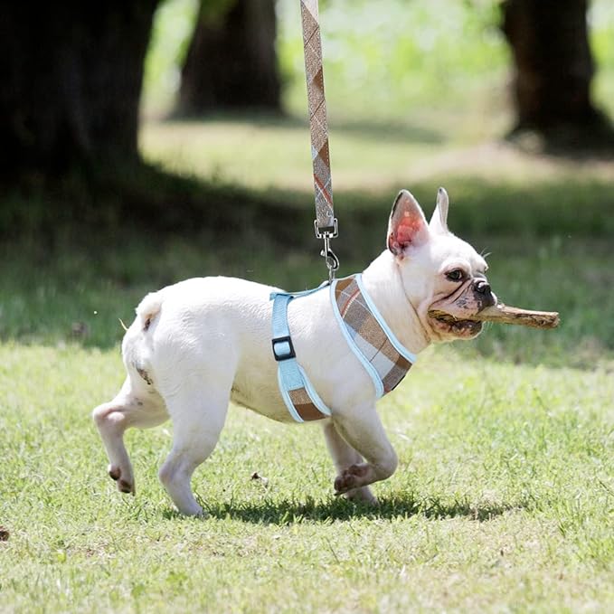 PUPTECK Soft Mesh Dog Harness and Leash Set Pet Puppy Cat Comfort Padded Vest No Pull Harnesses, Blue&Brown, S