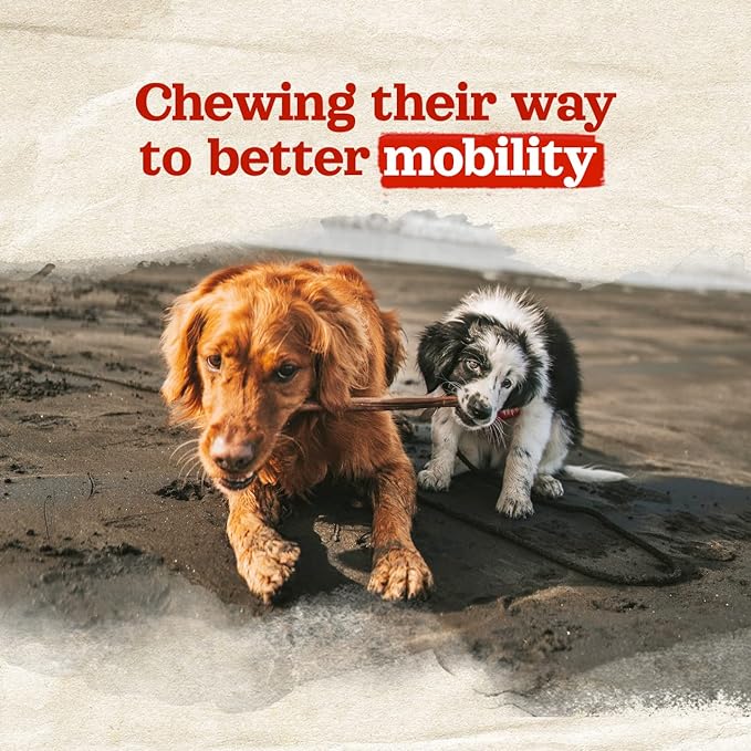 Natural Farm Odor-Free Collagen Dog Chews, (12-Inch, 12-Pack), Long Lasting Bully Sticks & Rawhide Alternative Dog Treats, 95% Collagen, High Protein Best Dental Dog Treats – Medium & Large Dogs