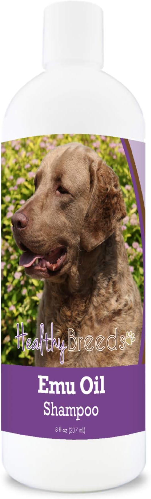Healthy Breeds Chesapeake Bay Retriever Emu Oil Shampoo - Gentle Cleanser That Provides Soothing Relief of Inflammation While Restoring Moisture Balance - Fruity Scent - 8 oz
