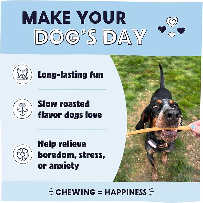 Pawstruck All-Natural 12" Bully Sticks for Dogs - Best Long Lasting, Rawhide Free, Low Odor & Grain Free Dental Chew Treat - Healthy Single Ingredient 100% Real Beef - 1 lb. Bag