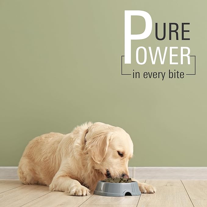 Freeze Dried Beef Tripe Dog Treats – Raw, Single Ingredient, Grain Free, Natural & Organic Treats for Dogs & Cats