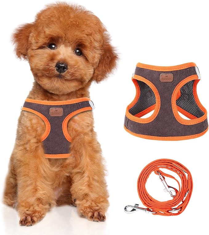 Dog Harness with Multifunction Dog Leash,No Pull Reflective Step-in Harness for Soft Adjustable No Choke Escape Proof,Easy Walk Dog Harness for Small Dogs (Orange&Dark Grey, S)