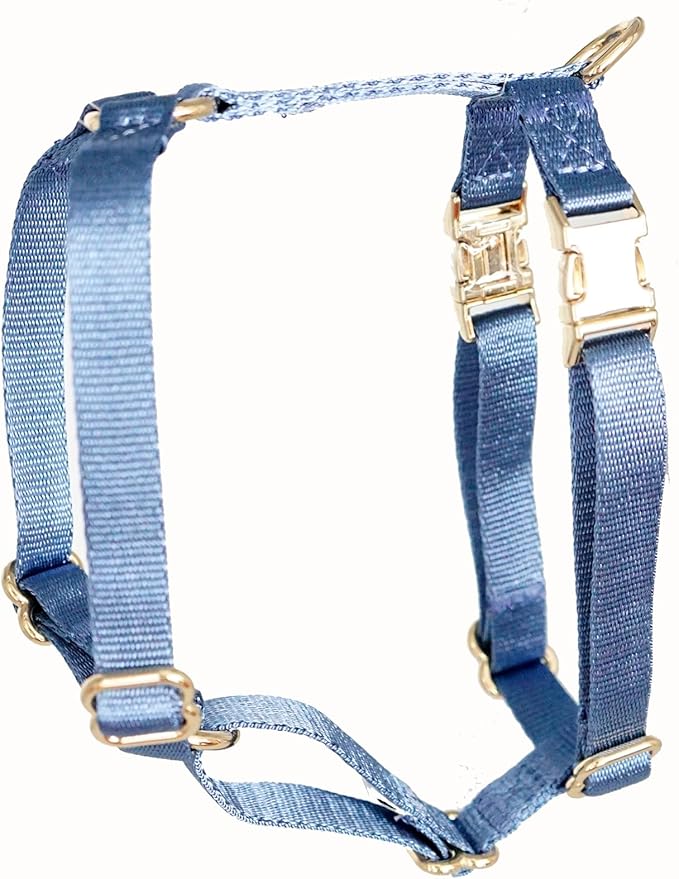 Nylon No Pull Dog Harness with Gold Metal Buckles,Easy Walking and Training Dog Harness (Air Blue, S)