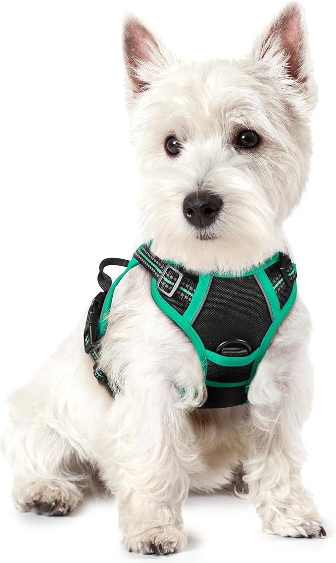 rabbitgoo Dog Harness, No-Pull Pet Harness with 2 Leash Clips, Adjustable Soft Padded Dog Vest, Reflective No-Choke Pet Oxford Vest with Easy Control Handle for Large Dogs, Black & Turquoise, X-Small