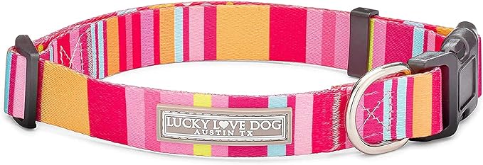 Lucky Love Dog, Colorful Stripes Dog Collar, Yellow, Pink, Blue Color Dog Collar, Cute Dog Collar for Girl Dogs - (Small, Molly Collar)