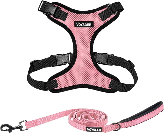 Voyager Step-in Lock Dog Harness w Reflective Dog Leash Combo Set with Neoprene Handle 5ft - Supports Small, Medium and Large Breed Puppies/Cats by Best Pet Supplies - Pink/Black Trim, L