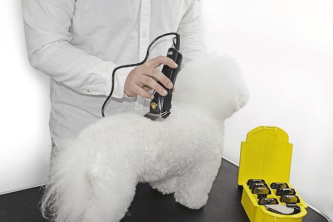 Clipper Guard Comb Set for Size 10 Blade, 9 Piece, Made of Stainless Steel, Suitable for Dog, Cat Grooming