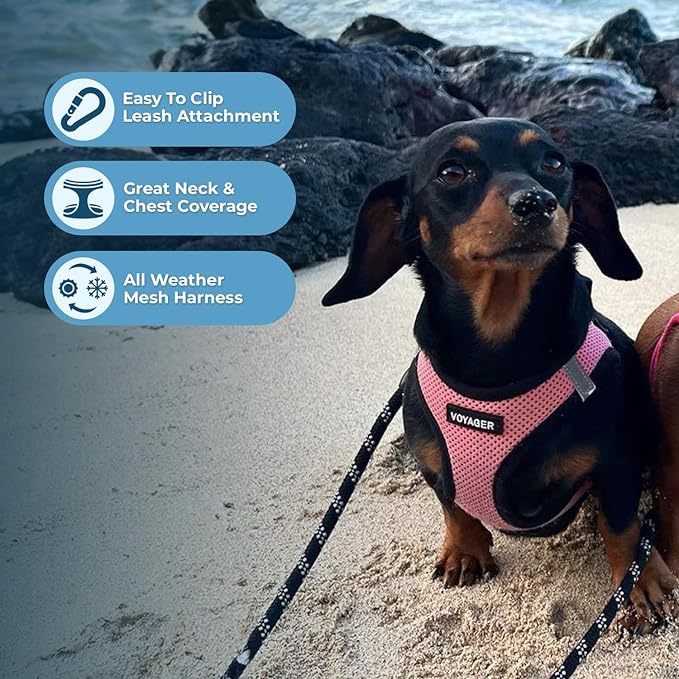 Voyager Step-in Air Dog Harness - All Weather Mesh, Reflective, No Pull Harness for Small, Medium Dogs, Cats - Secure with Hook & Loop Fastener, Buckle, Double D-Rings - Pink/Black Trim, XS