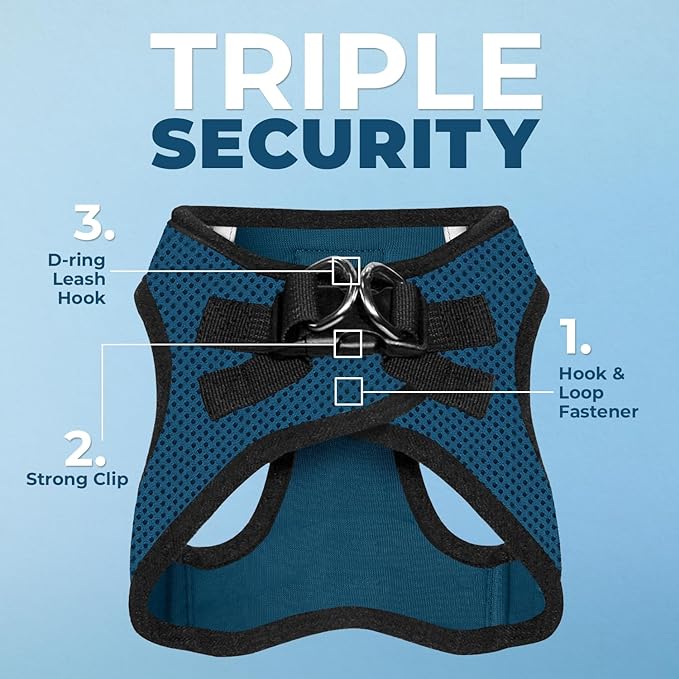 Voyager Step-In Air Dog Harness - All Weather Mesh, Reflective, No Pull Harness for Small, Medium Dogs, Cats - Secure with Hook & Loop Fastener, Buckle, Double D-Rings - Blue/Black Trim, XXS