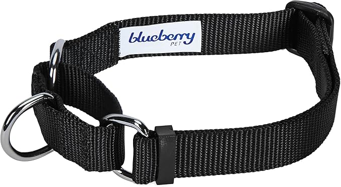Blueberry Pet Essentials Martingale Safety Training Dog Collar, Black, Small, Heavy Duty Nylon Adjustable Collars for Dogs