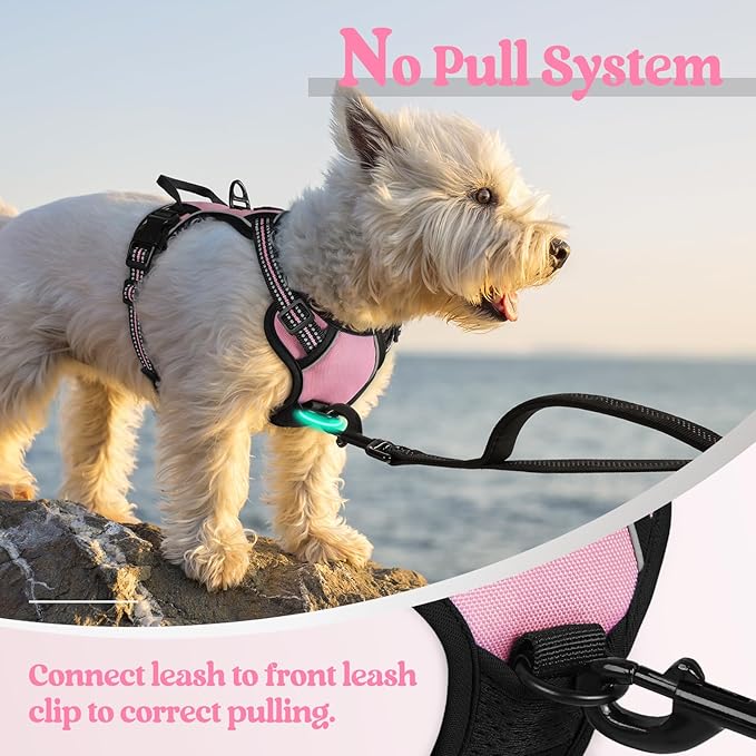 rabbitgoo Dog Harness, No-Pull Pet Harness with 2 Leash Clips, Adjustable Soft Padded Dog Vest, Reflective No-Choke Pet Oxford Vest with Easy Control Handle for Small Dogs, Pink, XS