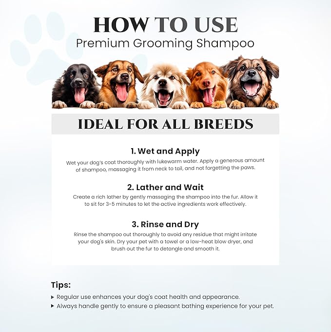 605Products Premium Dog Shampoo - Gentle Formula for Itchy & Sensitive Skin, Puppy Odor Eliminator, Natural Pet Deodorizer (10oz) - Show Dog (2-Pack)